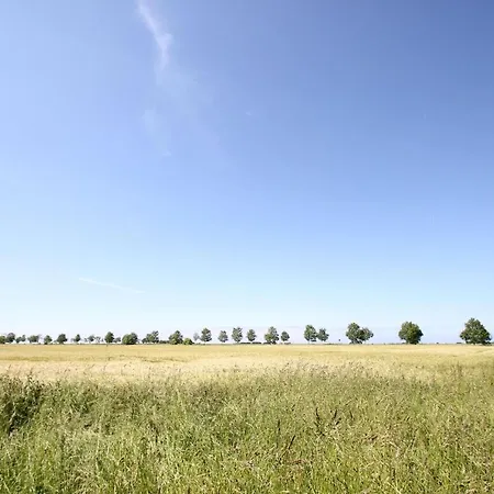 Stranddistel Haus - Terrasse, Garten, Sauna Casa vacanze